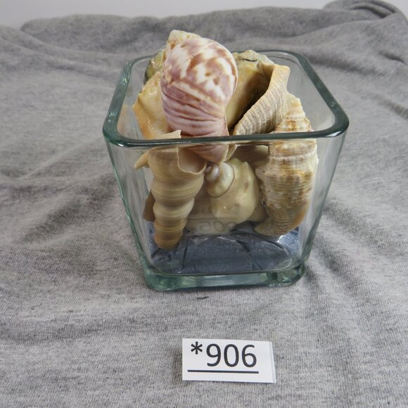 REAL Sea Shells in a Glass Square Vase and sand #13 - Picture 2 of 7